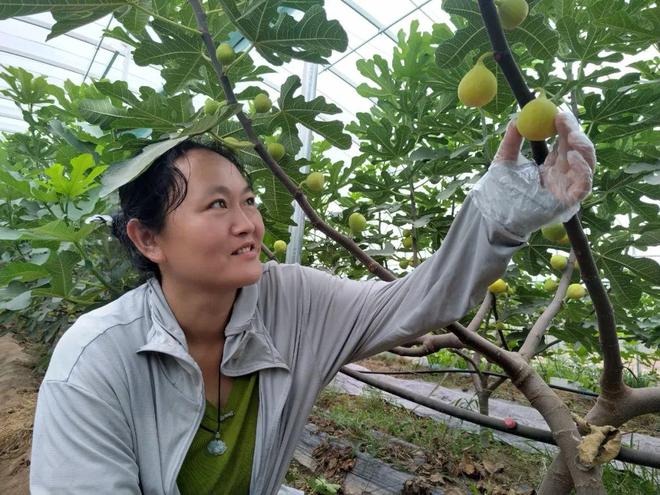 新农女吕锋的田园梦