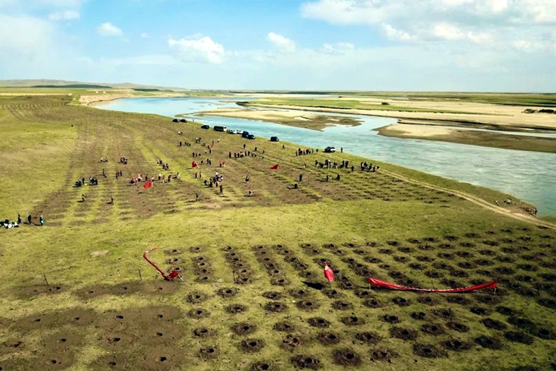 巩丹丹_邯郸市第一医院风湿免疫科_巩丹丹挂号 - 有来医生